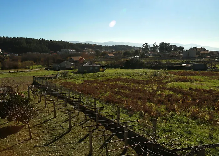Country house Casa Do Sear - & Exterior
